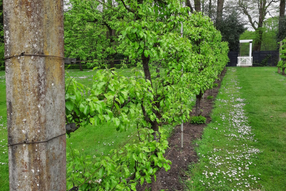 Landgoed De Horte, tuin voorjaar 2021