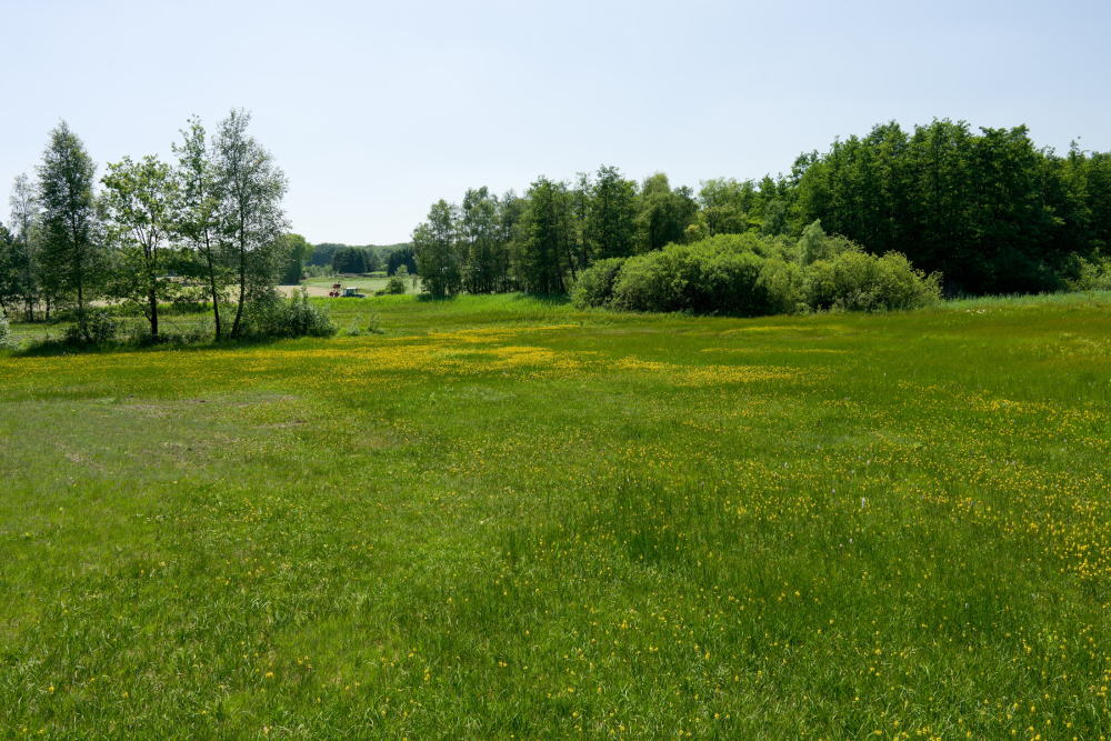 Brongebied Dal van de Mosbeek, Michiel Pothoff