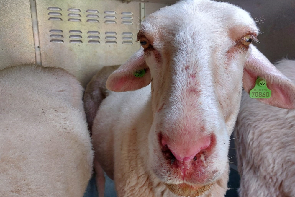 WhatsApp Image 2024-08-06 at 14.53.37  2