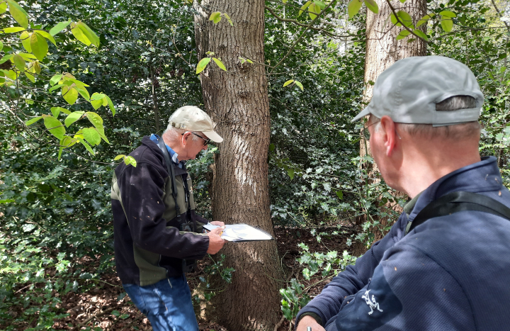 Vrijwilligers inventariseren wilde bomen & struiken