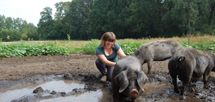Zuuver varkens en Julia