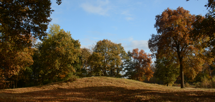 Manderheide, grafheuvel