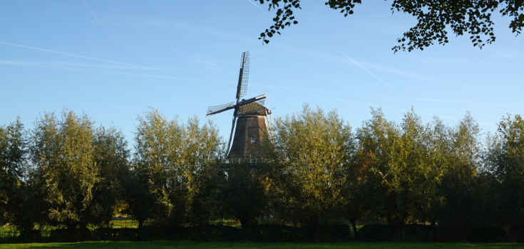 Welsum, Nico kloek