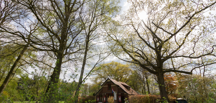 Landgoed Lonnekermeer, boswachtershuis
