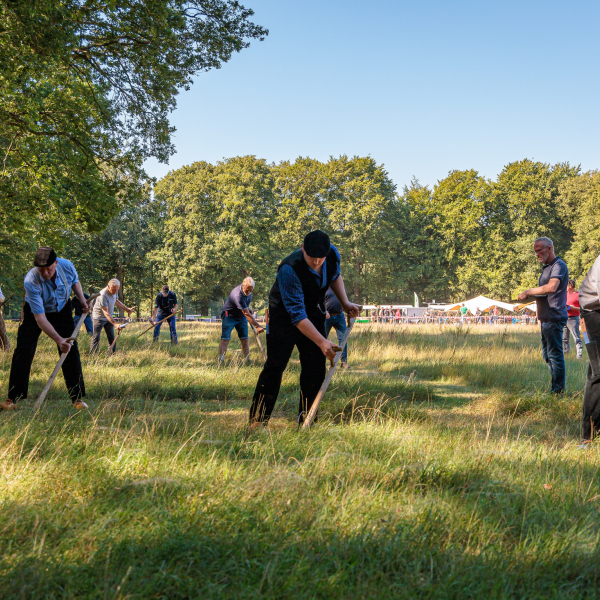 NK maaien met de zeis 2022