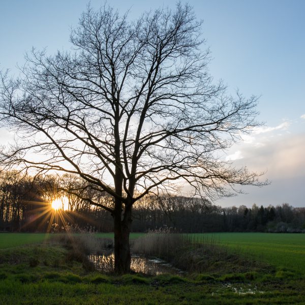 Visserij op Hof Espelo
